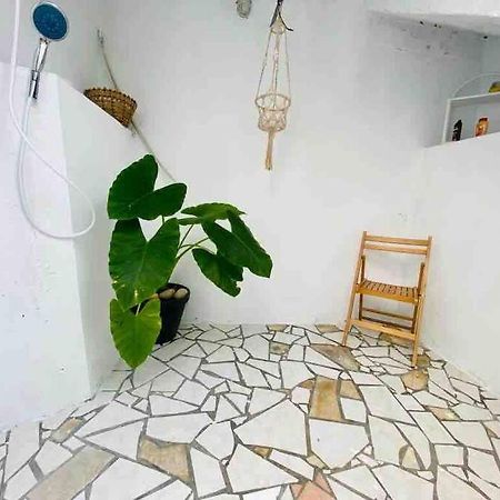Habitation Nala Proche Bourg Apartment Terre-De-Haut Ngoại thất bức ảnh