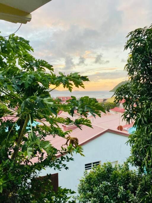 Habitation Nala Proche Bourg Apartment Terre-De-Haut Ngoại thất bức ảnh