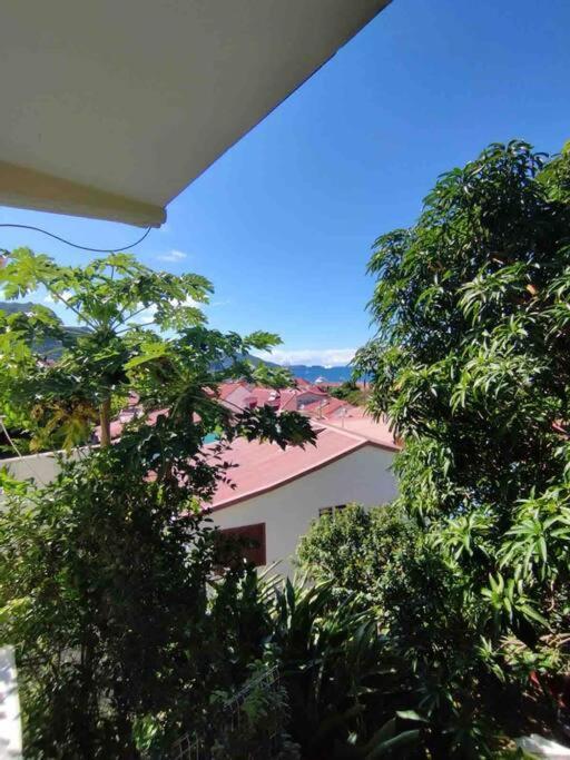 Habitation Nala Proche Bourg Apartment Terre-De-Haut Ngoại thất bức ảnh